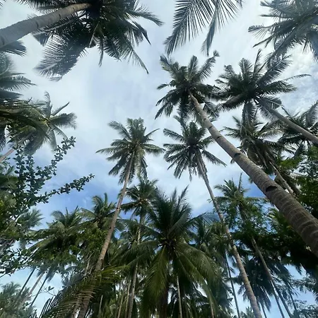 Efrena Agro Tourism Beach El Nido Exterior photo