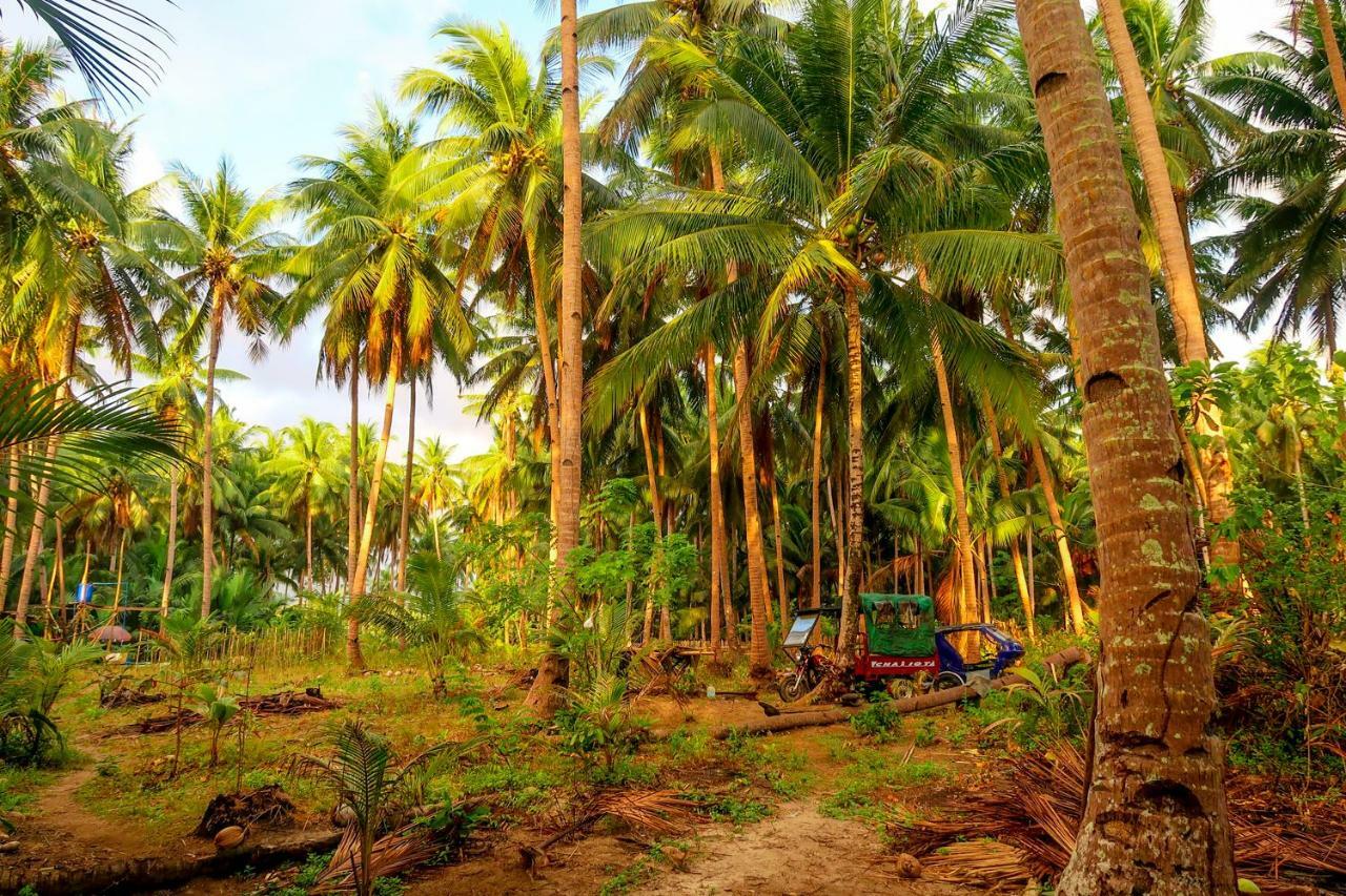 Efrena Agro Tourism Campsite